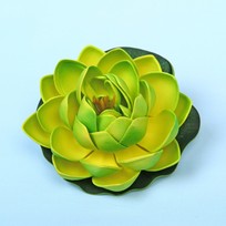 Растение водоплавающее Кувшинка Розитта d-10см зеленая