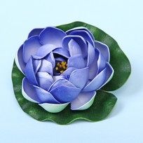 Растение водоплавающее Кувшинка Розитта d-10см синяя