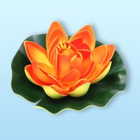 Растение водоплавающее Кувшинка Розитта d-13см оранжевая