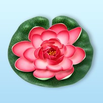 Растение водоплавающее Кувшинка Розитта d-15см розовая