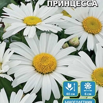Семена Цветы Нивяник Серебряная Принцесса - наибольший 0,1гр (УД) Е/П