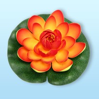 Растение водоплавающее Кувшинка Розитта d-15см оранжевая