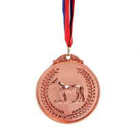 Медаль Конный спорт - 3 место (6,5см)