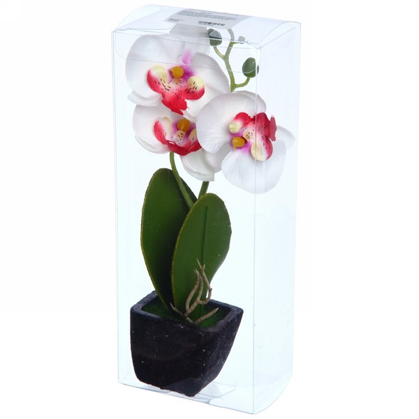 Купить орхидею в горшке авито. Горшки для орхидей в Ашане. Ашан орхидеи. Орхидея в пластиковой коробке. Орхидеи в Ашане СПБ.