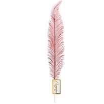 Ветка декоративная Волшебное перо 53 см, Красный