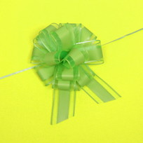 Бант для оформления подарка Изыск 5 см, d=17 см, Зелёный