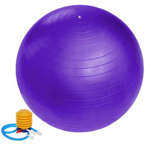 Фитбол Sportage 65 см 800гр с насосом, фиолетовый