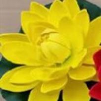 Растение водоплавающее Кувшинка Розитта d-15см желтая