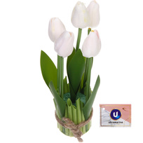 Цветочная композиция Весенняя рапсодия 10*26см Тюльпаны белые